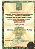 Дипломант 2 степени на всероссийском фестивале-конкурсе Каменный цветок 2013